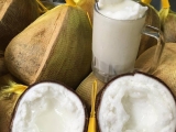 Dừa Sáp Cầu Kè Trà Vinh Giá Bao Nhiêu