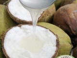 Dừa Sáp Ăn Như Thế Nào Mới Ngon