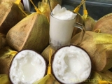 Dừa Sáp Có Mấy Loại Và Cách Chọn Dừa Sáp Ngon