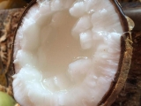 Nơi Bán Dừa Sáp Ngon Uy Tín Ở Sài Gòn