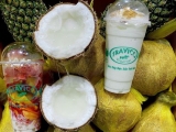 Dừa Sáp Giá Tốt