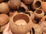 Gáo dừa thô nguyên liệu có thể trở thành sản phẩm tinh hoa bậc nhất như thế nào?