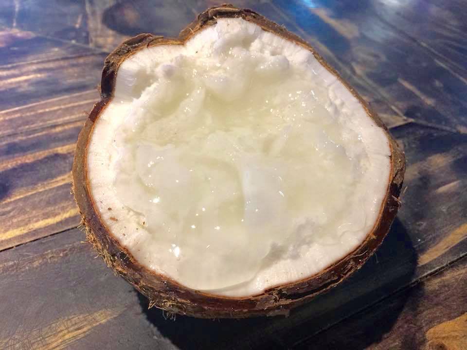 Dừa sáp Travico 