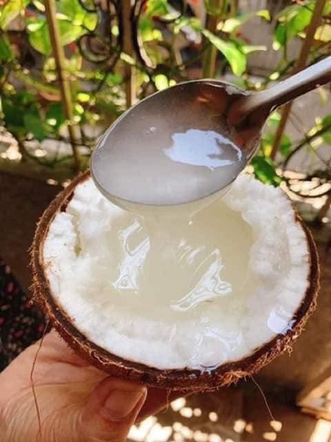 Dừa sáp Travico 