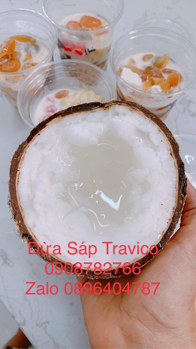 Dừa sáp Travico 